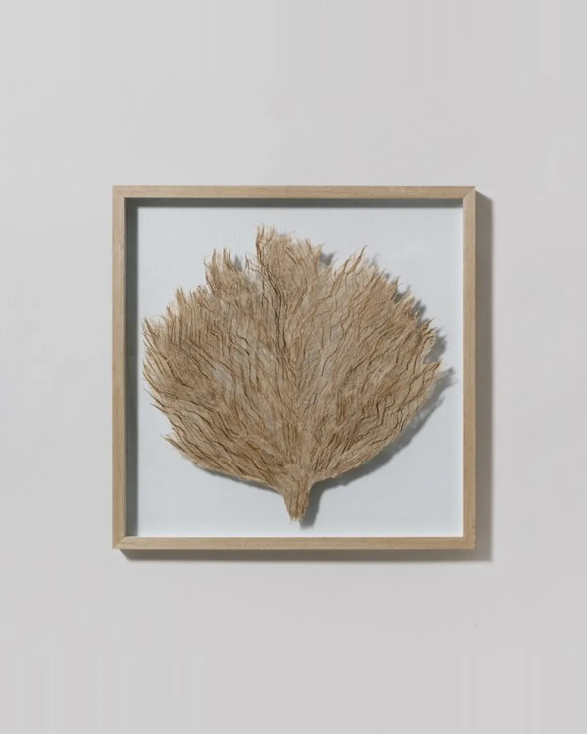 Cuadro Bark 60x60 cm